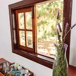 Ecoverode Emblematico Vegetariano Vegano Penzion Arona (Tenerife)