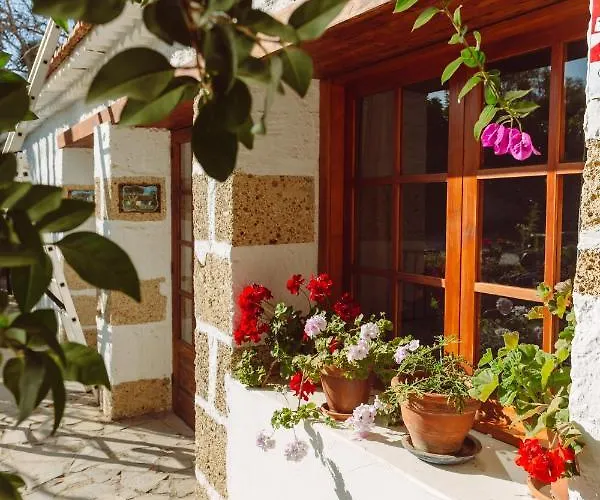Gasthuis Ecoverode Emblematico Vegetariano Vegano Arona (Tenerife)