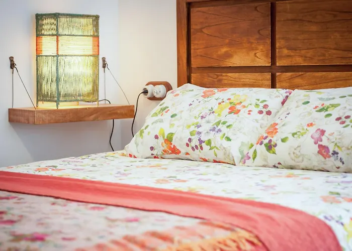 Ecoverode Emblematico Vegetariano Vegano Arona (Tenerife)