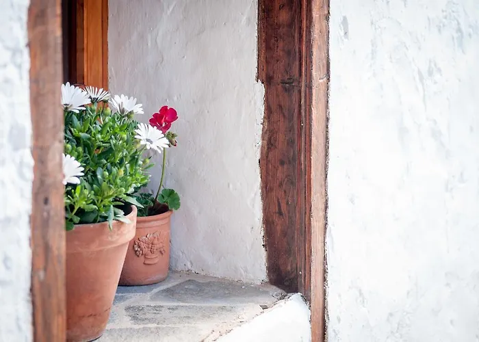 Gasthuis Ecoverode Emblematico Vegetariano Vegano 3*